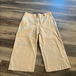 Ann Taylor Women's Cropped Tan Pants
